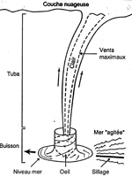 Figure-2-petite