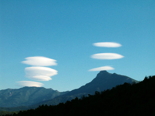 4 lenticulaire