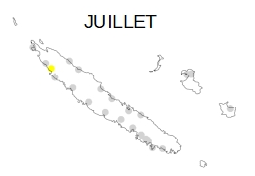 RR cumul annuel 2020 repartition