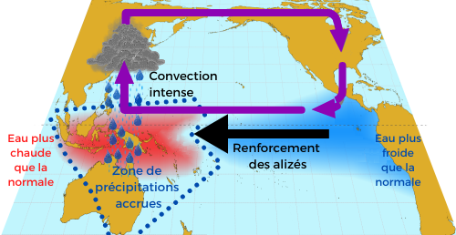 Schéma explicatif d’une phase La Niña