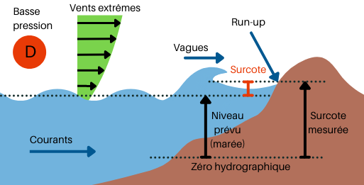 surcote