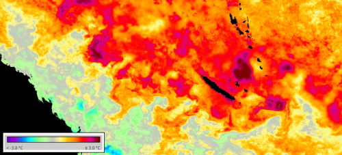 Anomalie de température de surface de l’océan mesurée par satellites le 27/07/2022.