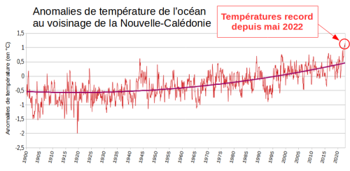 Évolution des anomalies de la température mensuelle de surface de l’océan Pacifique au voisinage de la Nouvelle-Calédonie (dans la zone de coordonnées 10°S-155°E / 25°S-170°E) entre janvier 1900 et novembre 2022 (période de référence 1981-2010) (Source : ERSST V5 ; mise en page : climatereanalyzer.org)