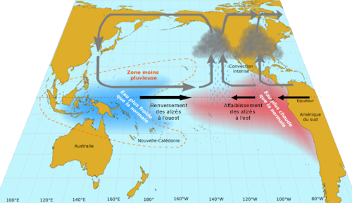 Schéma explicatif d’une phase El Niño