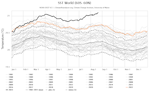 Anomalie de la température de surface de l’océan planétaire en 2023 (ligne foncée noire) comparativement aux années 1981 à 2022.