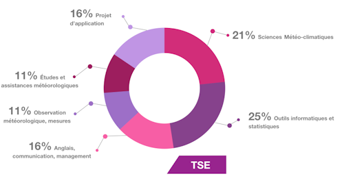 Répartition des matières formation TSE