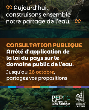 pic_actu