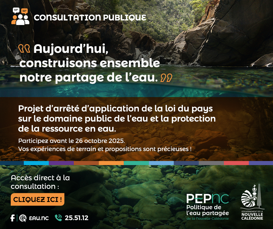 pic_actu
