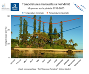 Graphique temperatures Poindimie