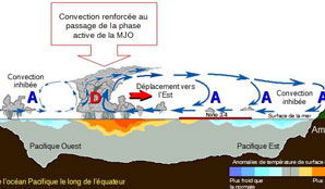 MJO caracteristiques