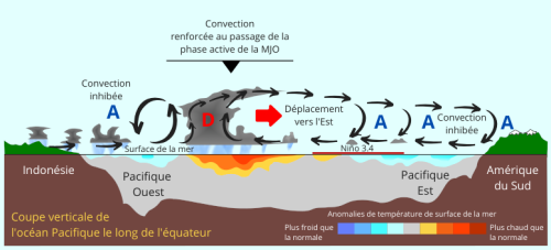 illustration 3 CA ptt