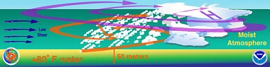 Comment se forment les cyclones tropicaux ?