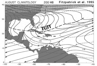 Fitzpatrick et al., 1995