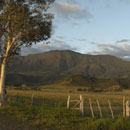 Propriété d'élevage de la côte ouest à la hauteur de Tomo, au soleil couchant © Alain Rio