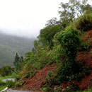 Eboulis de pierres suite aux fortes pluies dans la Col d'Amieu © Jean-Marc Jegou