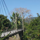 Passerelle Marguerite à La Foa © Jean-Marc Jegou