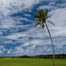 Plaine © Romain Vigneau