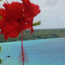 Lifou © Caroline Thierry