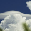 Pileus 15/12/07 © Angelino Speciale