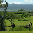 Paysage rural © Erminia Brach