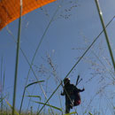 Parapente © Laurent Blaize