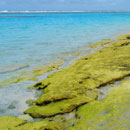 Plage de Patho - Ile de Maré © Patrick Ingremeau