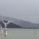 Le lac en gris © Mireille Rolly