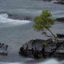 Crue dans le Sud © Bruno Eberstein