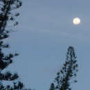 Pleine lune à la Baie des Tortues © Annie Ruinard