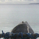 Pirogue sur la plage de Luengoni à Lifou © Jean-Marc Jegou