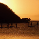 Kuendu Beach au soleil couchant...  © 