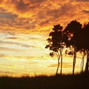 Ciel de feu (Kuendu Beach) © 