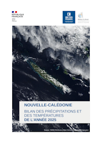 Bilan precipitations temperatures de 2025